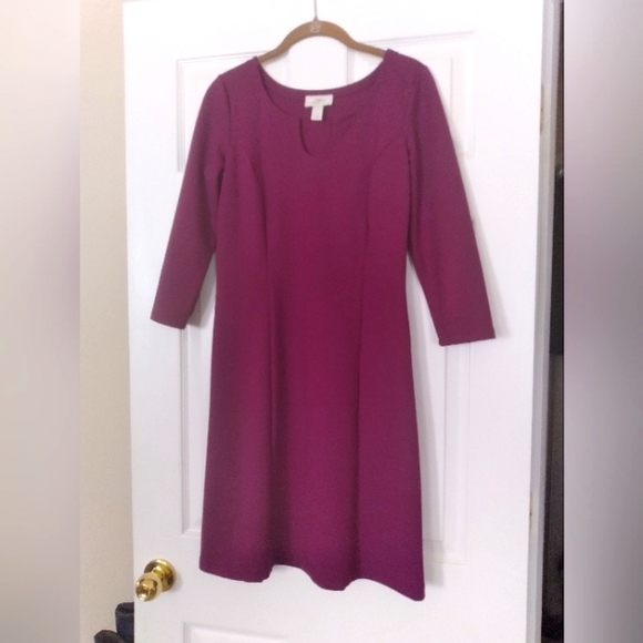 Ann Taylor LOFT‎ Knit Dress Office, Workwear, Event, Church, Formal - Picture 2 of 5